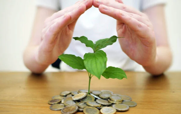 Arábica ou Canéfora - A Produção A Relação Custo-Benefício do Café Especial