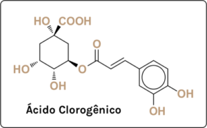 Ácido Clorogenico - Arábica ou Canéfora?