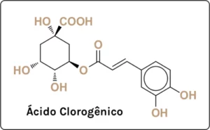 Ácido Clorogenico - Arábica ou Canéfora? Ácido Clorogenico - Arábica ou Canéfora?