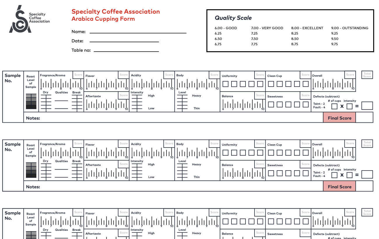 Entenda o Protocolo SCA de Pontuação de Cafés Especiais e seus 11 atributos