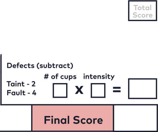 Atributo Resultado Final segundo o Protocolo SCA para Cafés Especiais.