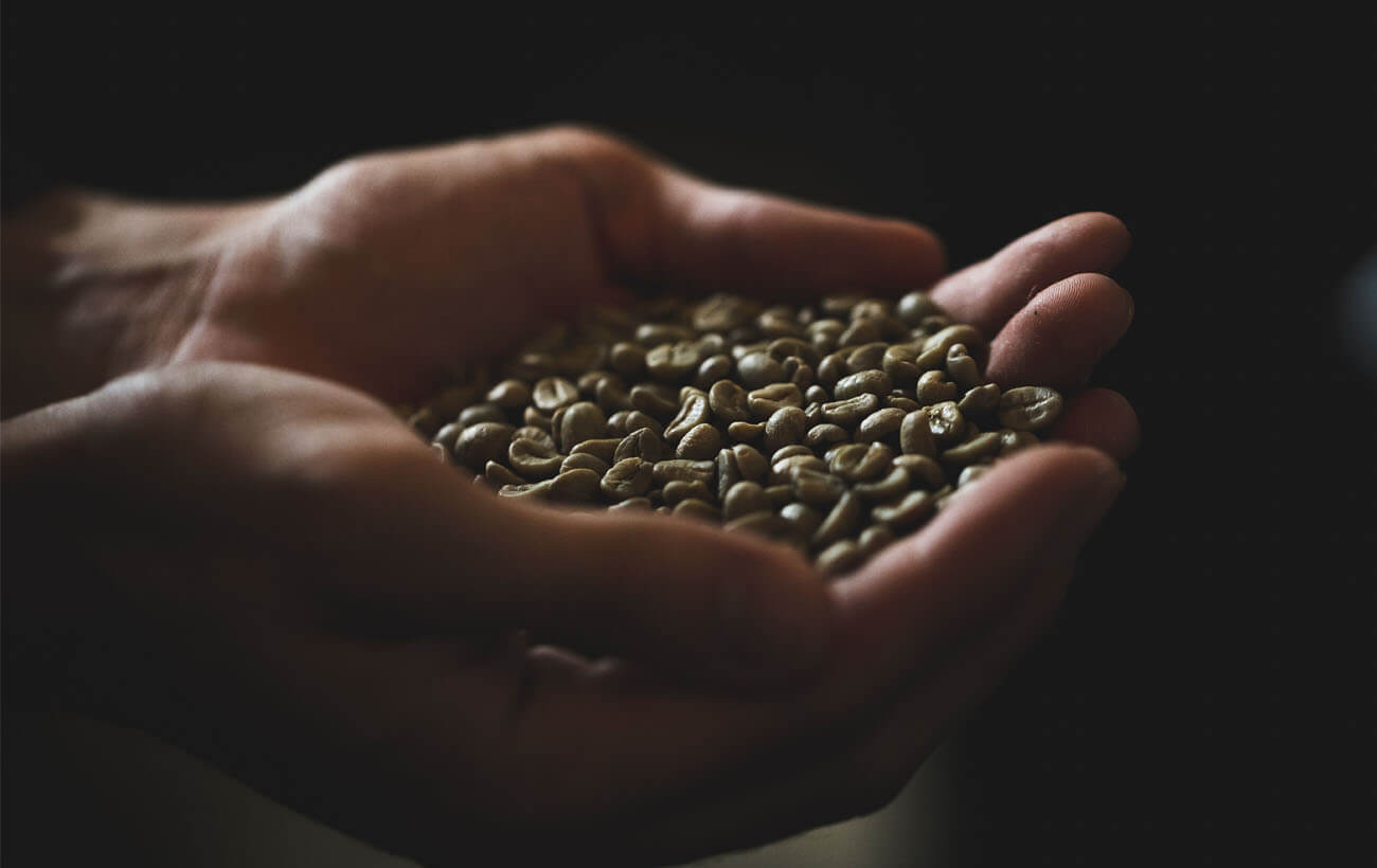 Como Escolher um Bom Café - Grãos Verdes